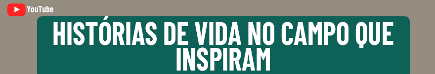 Canal Arsênio Martins